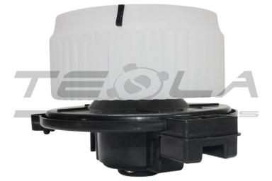 Blower motor with fun TT21215