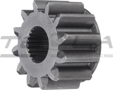 Pinion TT61900