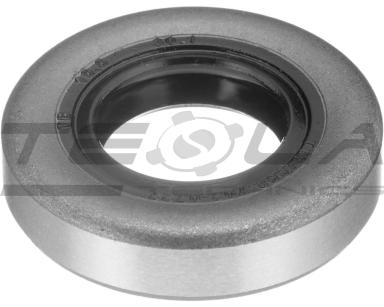 Oil seal TT91008
