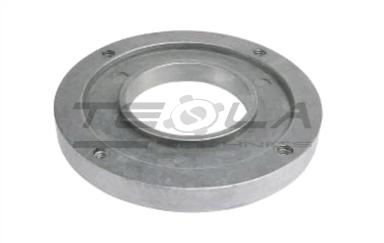 Bearing retainer plate TT49031