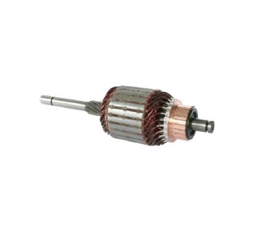 Armature TT71003