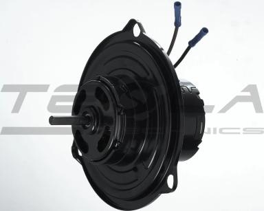 Heater motor TT21032