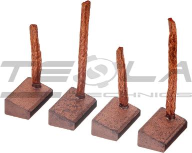 Starter brush set TT53156 PRO