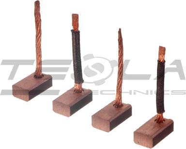 Starter brush set TT53438 PRO