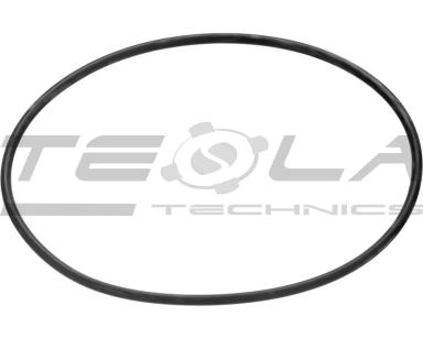 Sealing ring TT90302