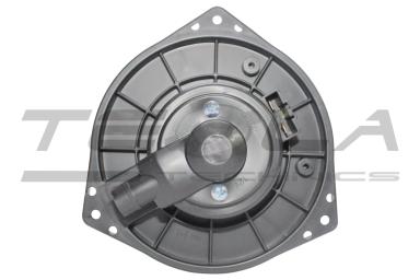 Blower motor with fun TT21217