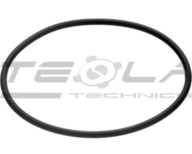 Sealing ring TT90301