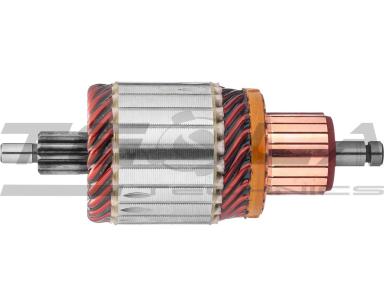 Armature TT71486 PRO