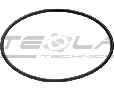 Sealing ring TT90267