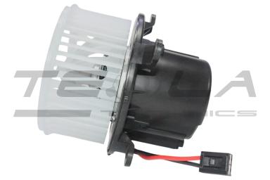 Blower motor with fun TT21216