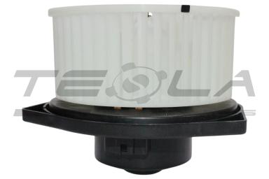 Blower motor with fun TT21217