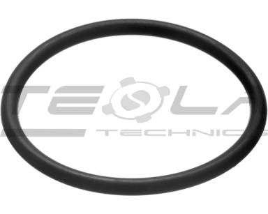 Sealing ring TT90394