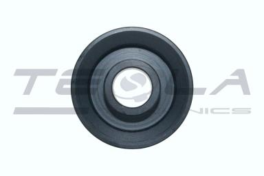 Pulley TT64555