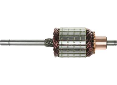 Armature TT71161