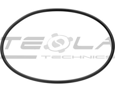 Sealing ring TT90327