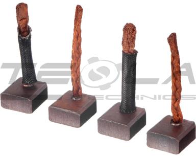 Starter brush set TT53073 PRO