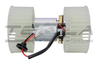 Blower motor with fun TT21223