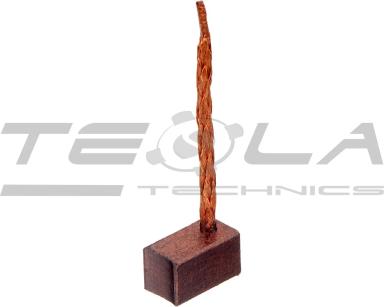 Heater motor brush set TT53165