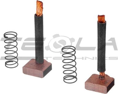 Starter brush set TT53321 PRO