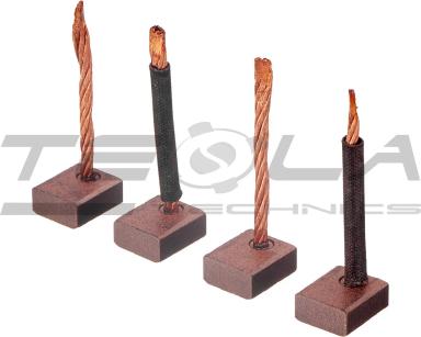 Starter brush set TT53257 PRO