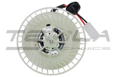 Blower motor with fun TT21223