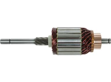 Armature TT71036