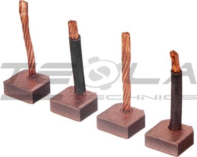 Starter brush set TT53198 PRO