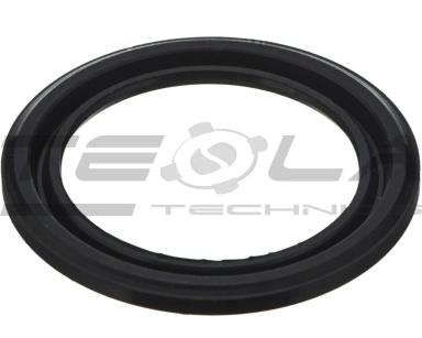 Oil seal TT91031