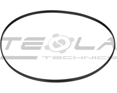 Sealing ring TT90754