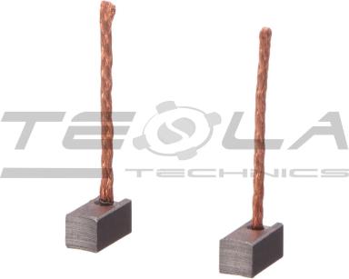 Heater motor brush set TT53309