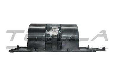 Blower motor with fun TT21220