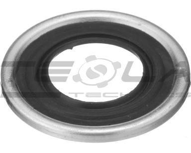 Oil seal TT91021