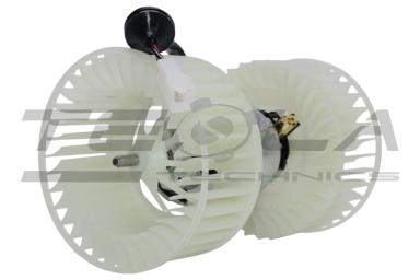 Blower motor with fun TT21223