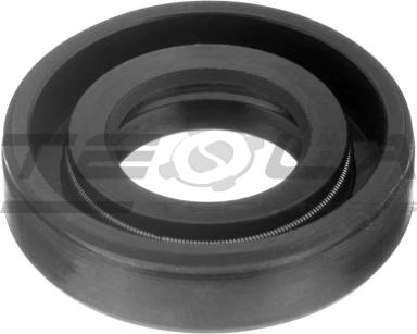 Oil seal TT91011