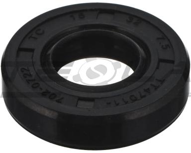 Oil seal TT91033