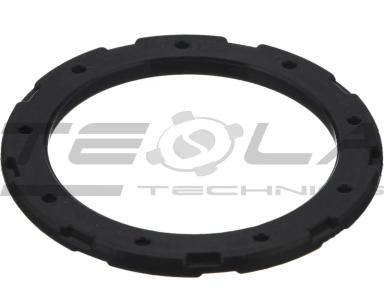 Oil seal TT91022