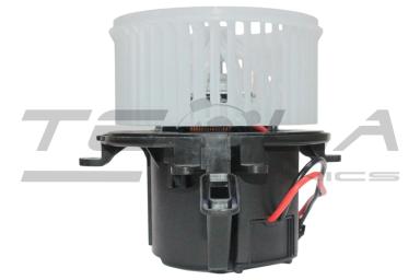 Blower motor with fun TT21216