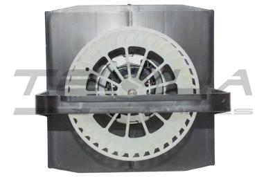 Blower motor with fun TT21219