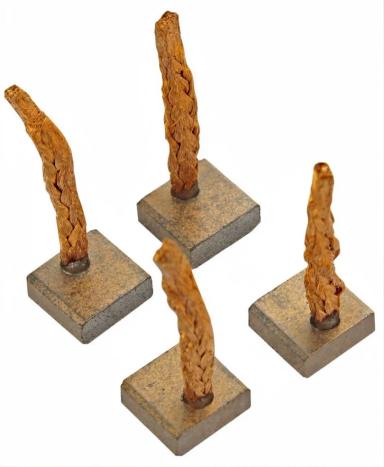 Starter brush set TT53178