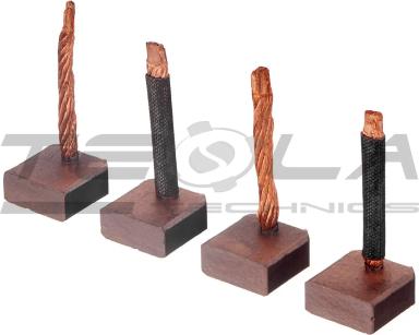 Starter brush set TT53105 PRO