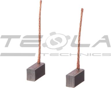 Heater motor brush set TT53306