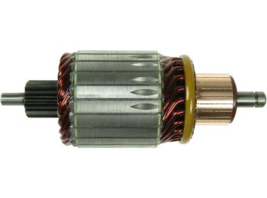 Armature TT71543