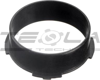 Bearing cap TT49028