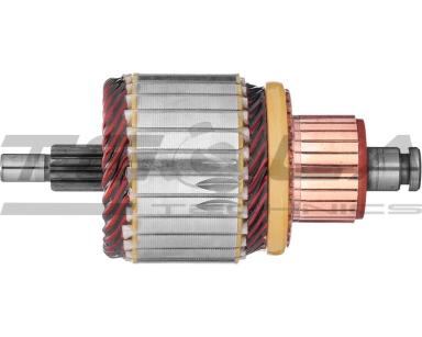 Armature TT71524