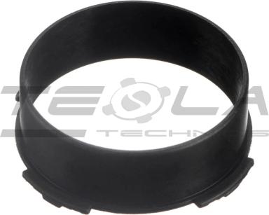 Bearing cap TT49066