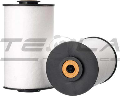 Fuel Filter TTF3109