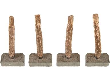 Starter brush set TT53447