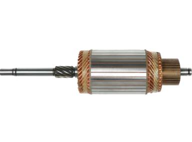 Armature TT71025