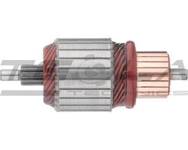 Armature TT71531
