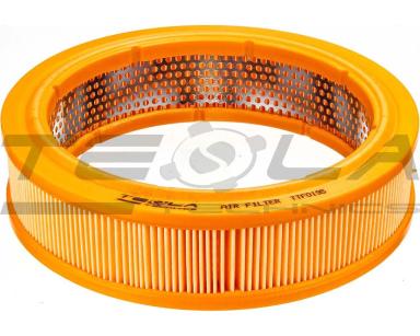 Air filter TTF0195